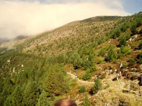 photo coins arrondis