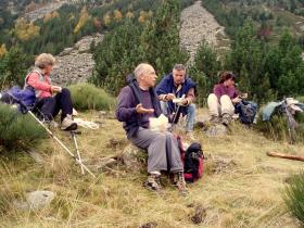 photo coins arrondis