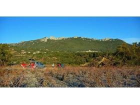 photo coins arrondis