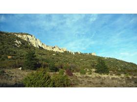 photo coins arrondis