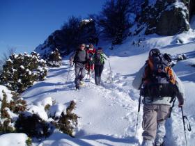 photo coins arrondis