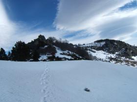 photo coins arrondis