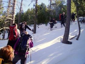 photo coins arrondis