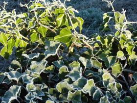 photo coins arrondis