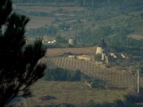 photo coins arrondis