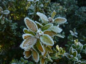 photo coins arrondis