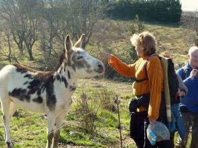 photo coins arrondis