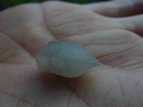 photo coins arrondis