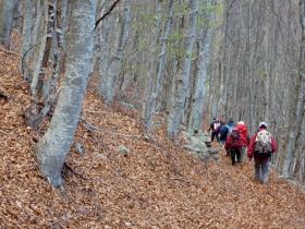 photo coins arrondis