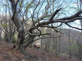 photo coins arrondis