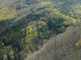 photo coins arrondis