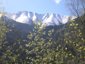 photo coins arrondis