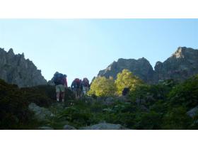 photo coins arrondis