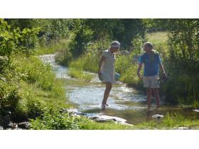 photo coins arrondis