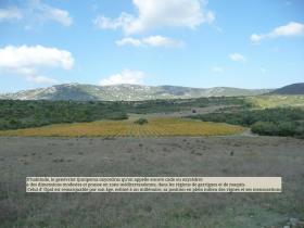 Image al&eacute;atoire