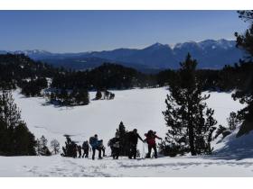 photo coins arrondis