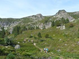 Image al&eacute;atoire