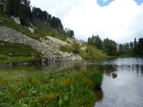 Image al&eacute;atoire