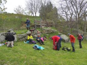 photo coins arrondis