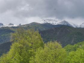 photo coins arrondis