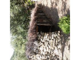 photo coins arrondis