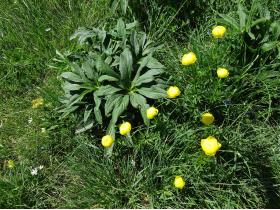 photo coins arrondis