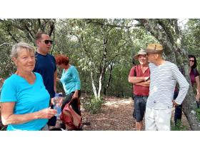 photo coins arrondis