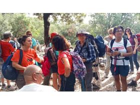 photo coins arrondis