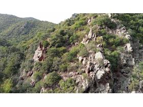 photo coins arrondis