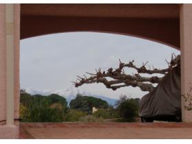 photo coins arrondis