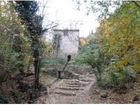 photo coins arrondis