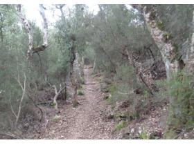 photo coins arrondis