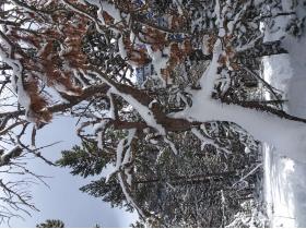 photo coins arrondis