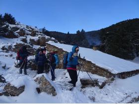 photo coins arrondis