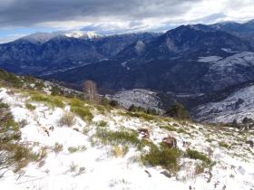 photo coins arrondis