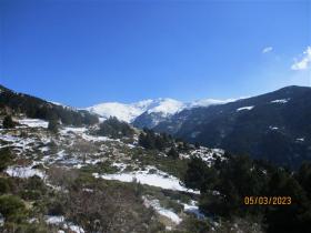 photo coins arrondis