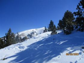 Image al&eacute;atoire