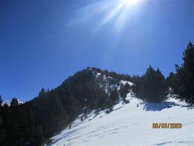 photo coins arrondis