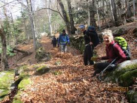 photo coins arrondis