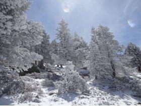 photo coins arrondis