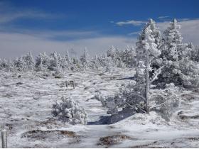 photo coins arrondis