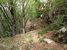 photo coins arrondis