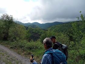 photo coins arrondis