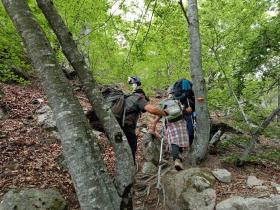 photo coins arrondis