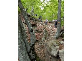 photo coins arrondis