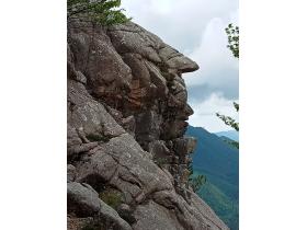 photo coins arrondis