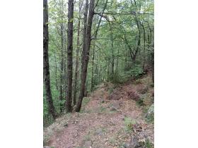 photo coins arrondis