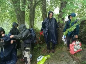 photo coins arrondis