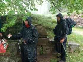 photo coins arrondis