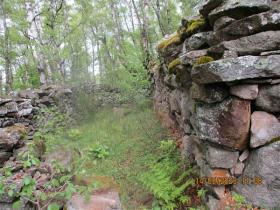 photo coins arrondis